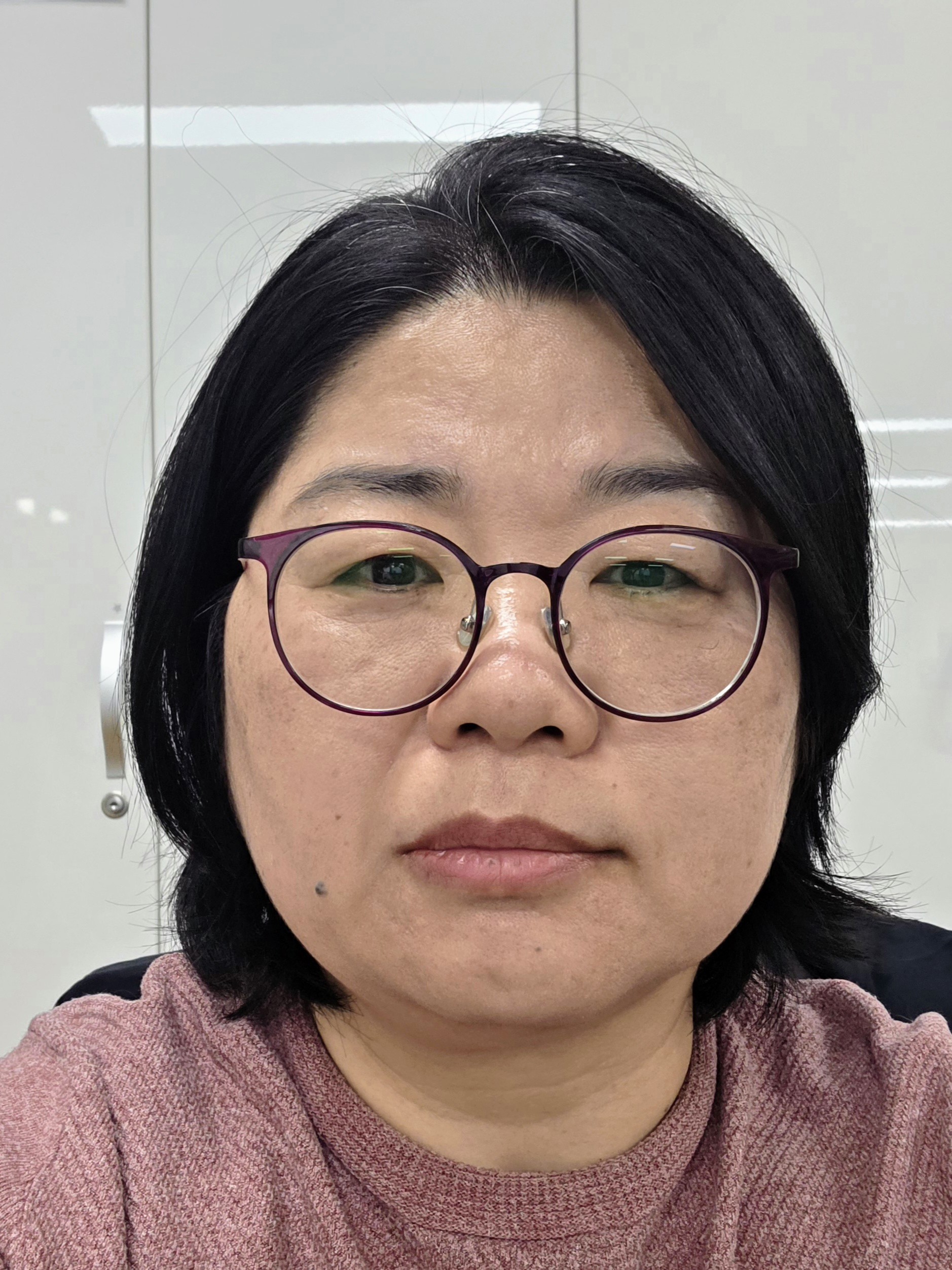 증명사진